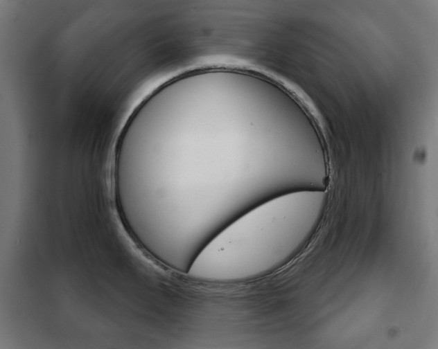X0000102241295200807250829