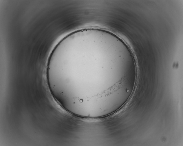 X0000102241296200807250829