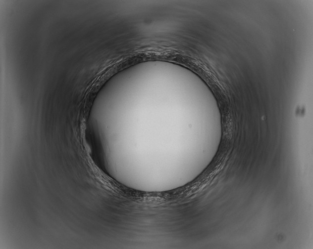 X0000102241297200807250828