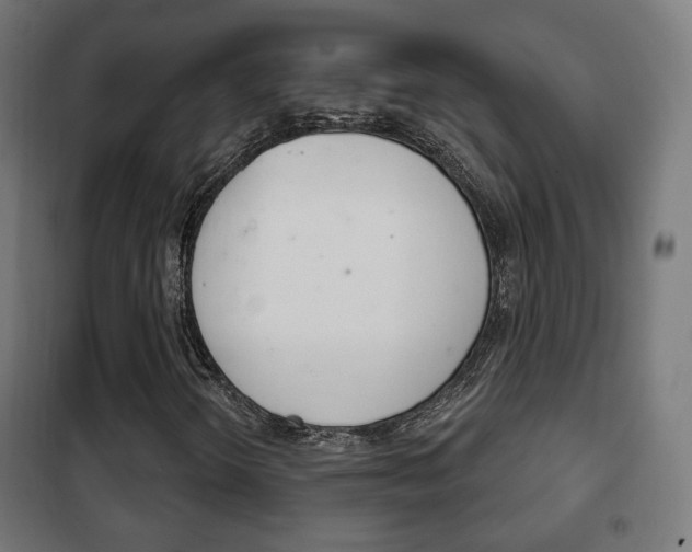 X0000102241298200807250828