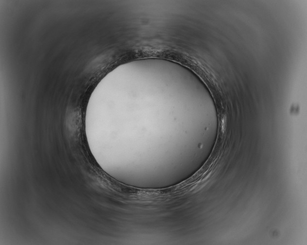 X0000102241299200807250828