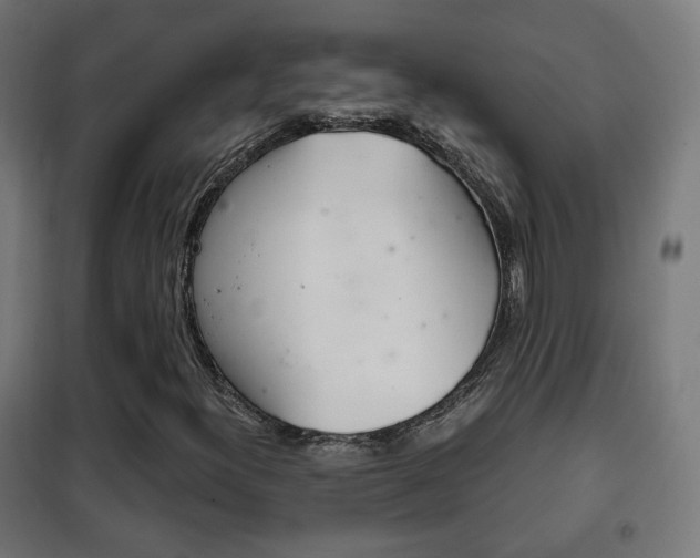 X0000102241300200807250828