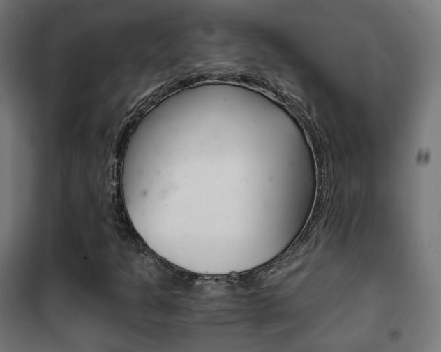 X0000102241301200807250828