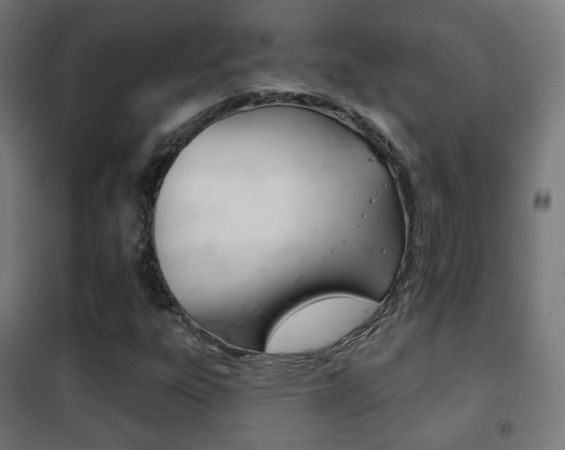 X0000102241303200807250828