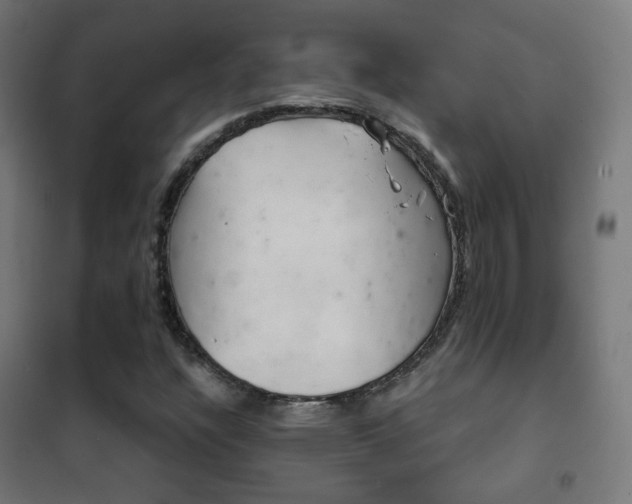 X0000102241304200807250828