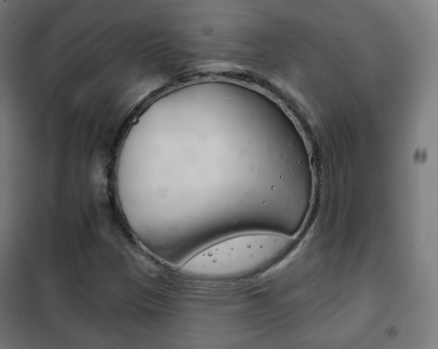 X0000102241305200807250828