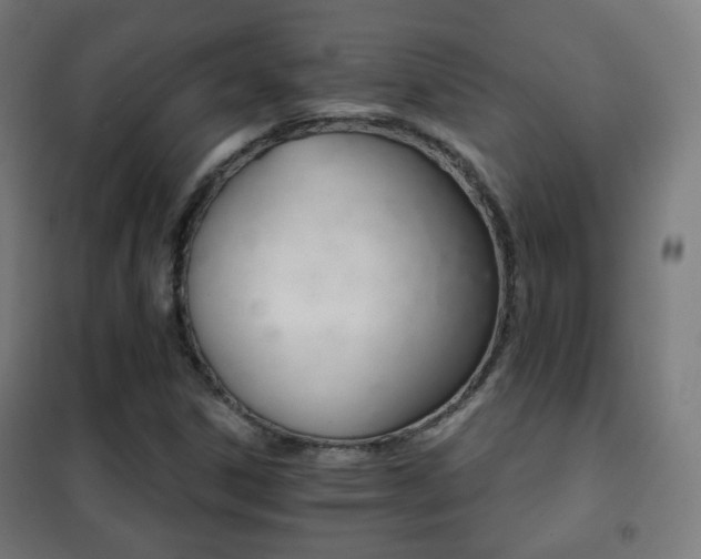 X0000102241306200807250828