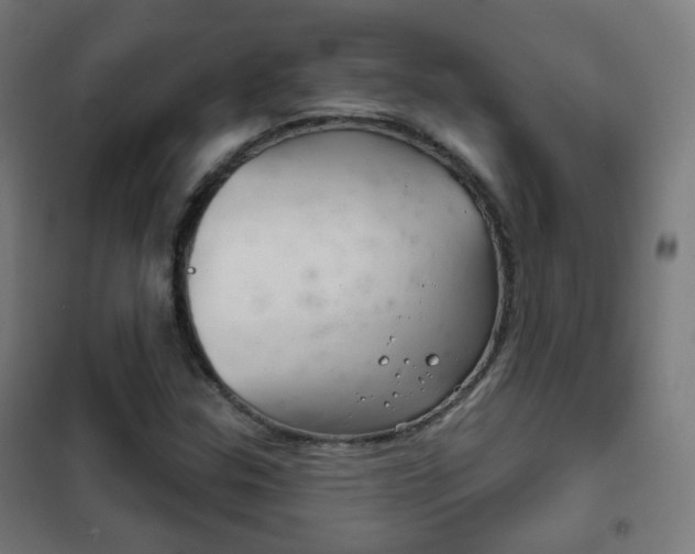 X0000102241307200807250828