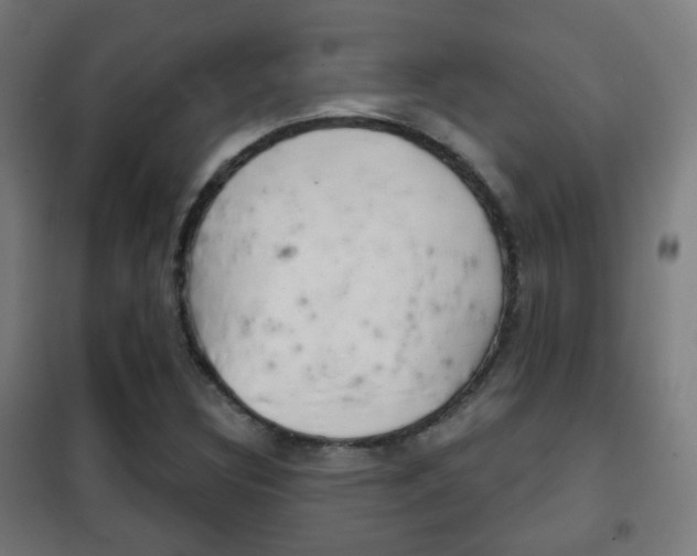 X0000102241308200807250828
