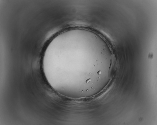 X0000102241309200807250828