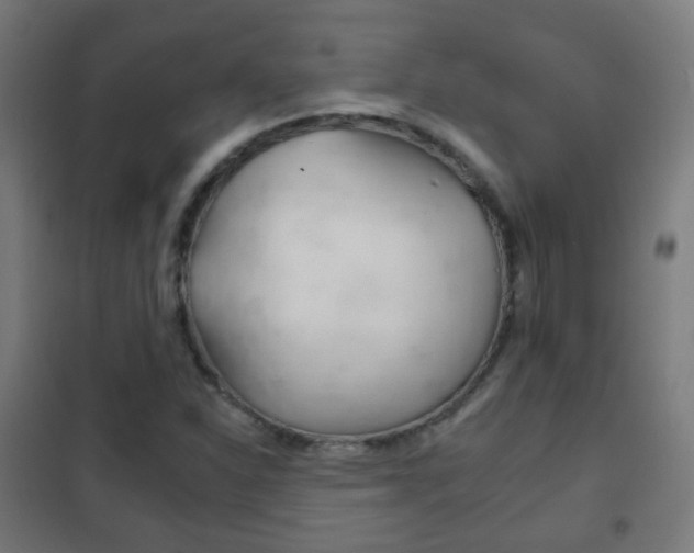 X0000102241310200807250828