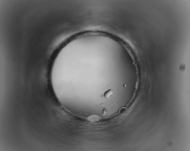 X0000102241311200807250828