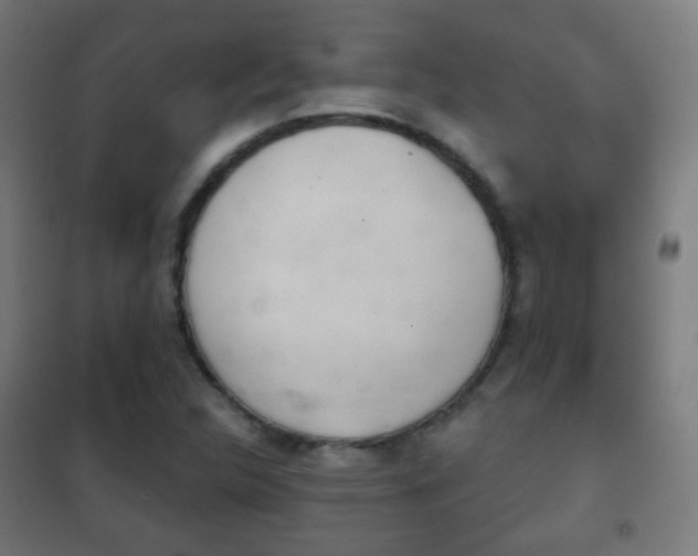 X0000102241312200807250828