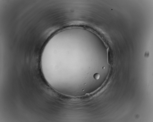 X0000102241313200807250828