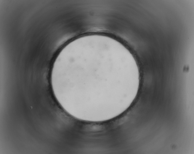 X0000102241314200807250828