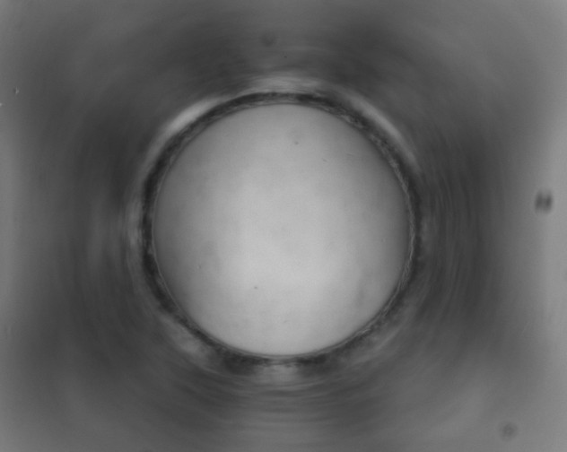 X0000102241315200807250828