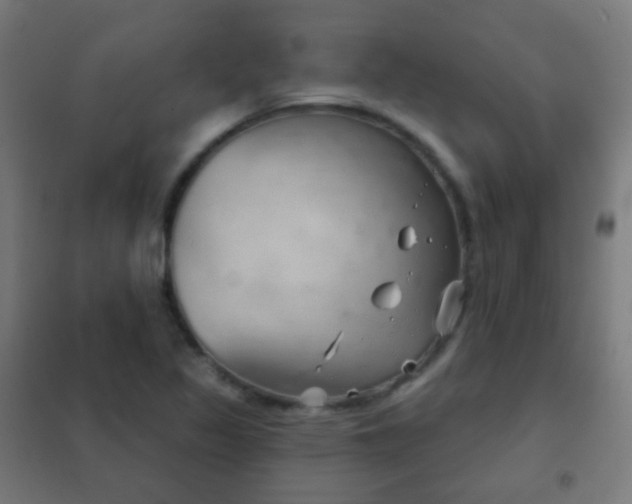 X0000102241317200807250828