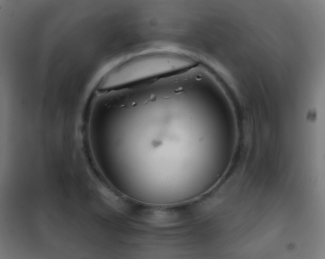 X0000102241318200807250828