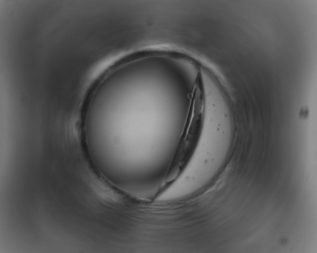 X0000102241319200807250828