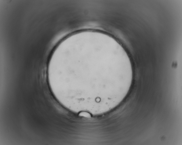 X0000102241320200807250828