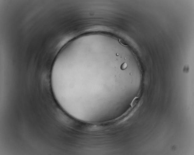X0000102241321200807250828