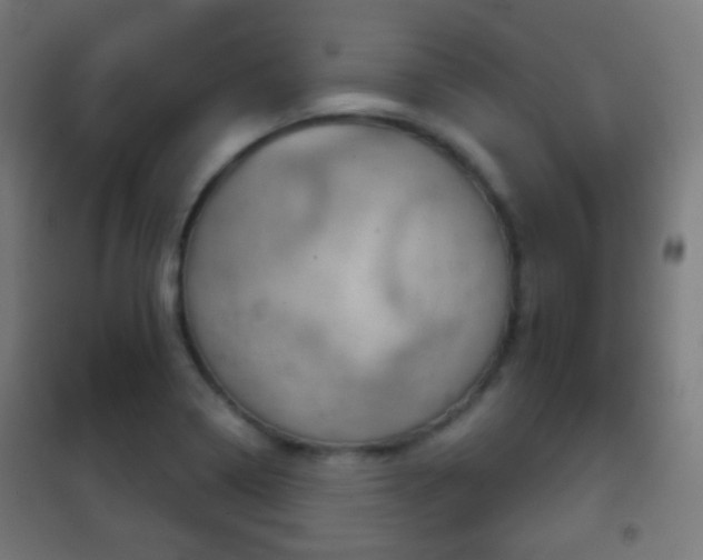 X0000102241322200807250828