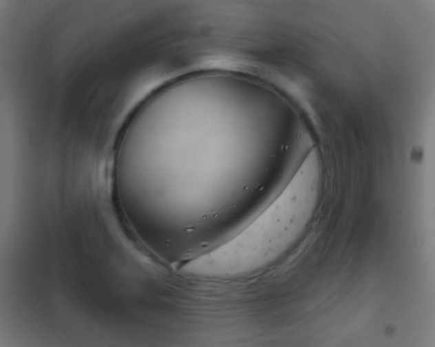 X0000102241323200807250828