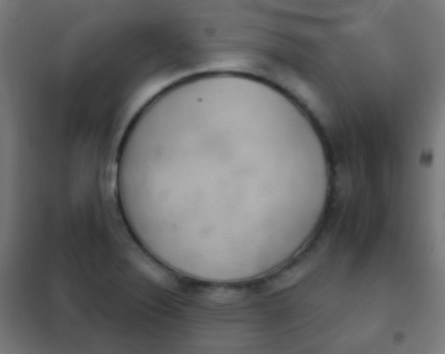 X0000102241324200807250828