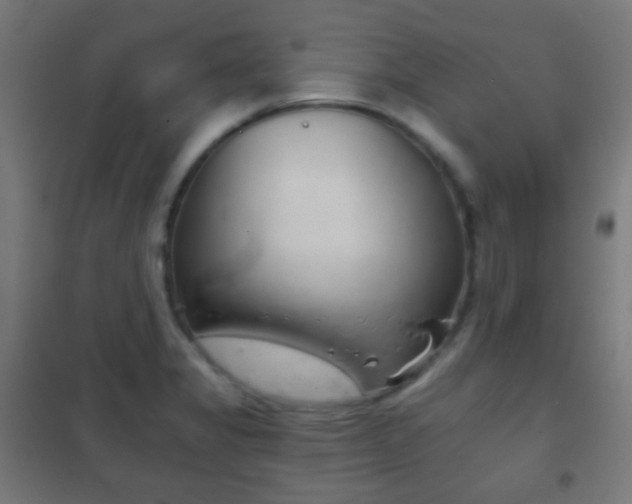 X0000102241325200807250828