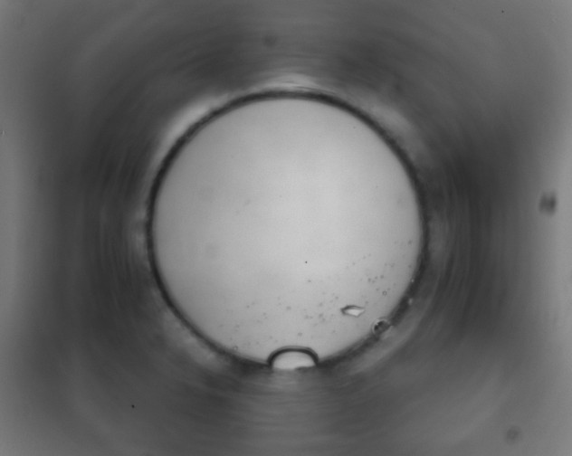 X0000102241326200807250828