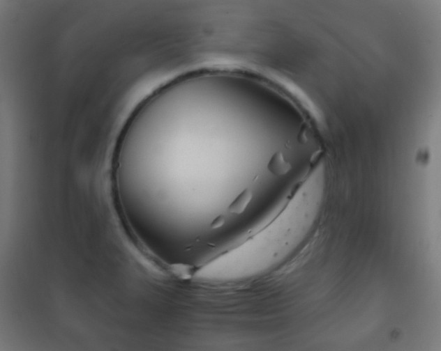 X0000102241327200807250828