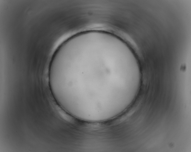X0000102241328200807250828