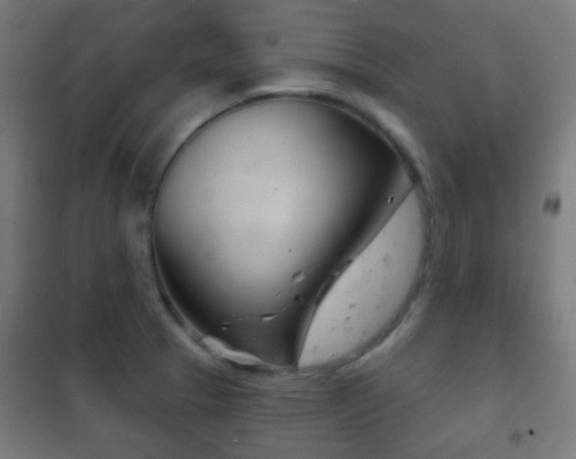 X0000102241329200807250828