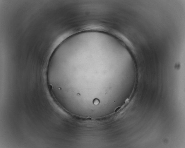 X0000102241330200807250828