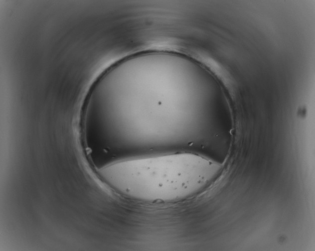 X0000102241331200807250828