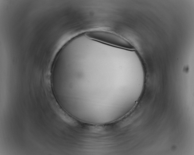 X0000102241332200807250828