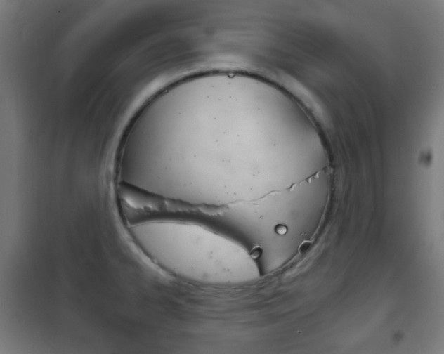 X0000102241334200807250828