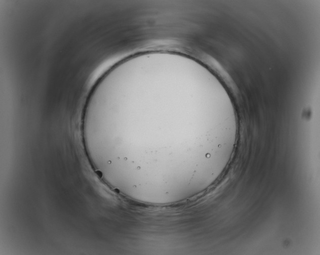 X0000102241336200807250828