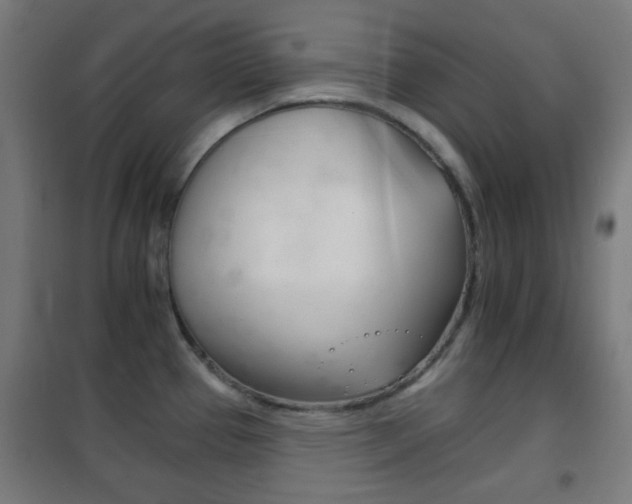 X0000102241337200807250828