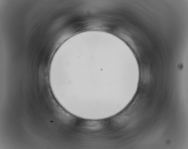 X0000102241338200807250828