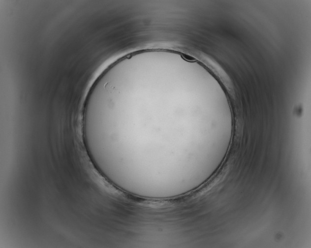 X0000102241340200807250828