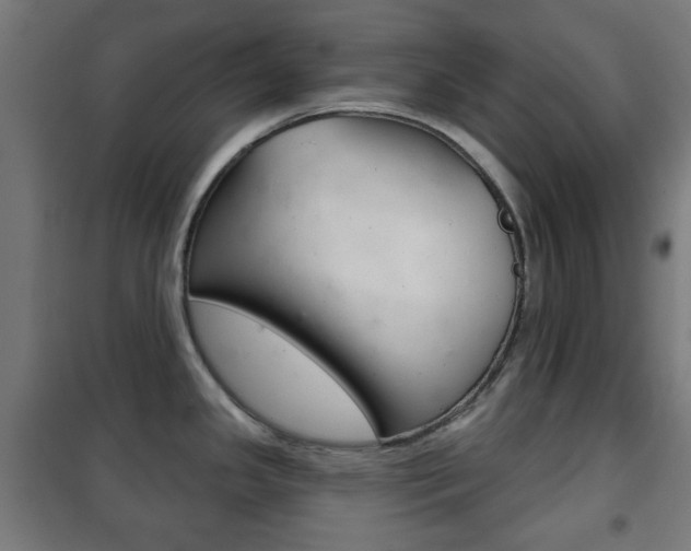 X0000102241341200807250828