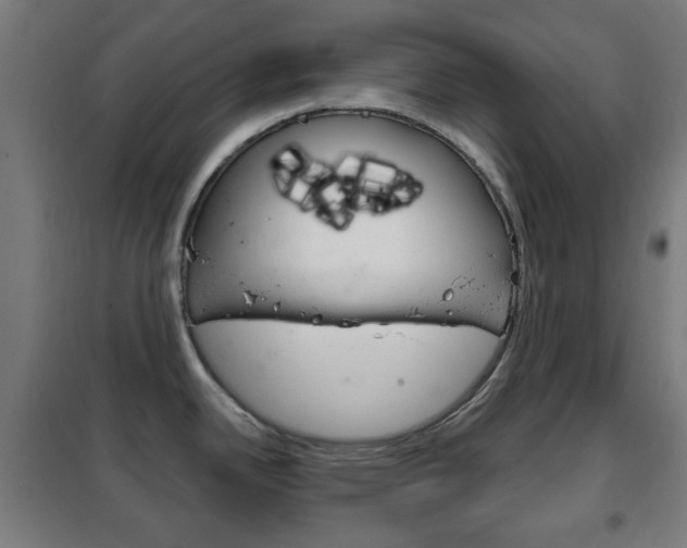 X0000102241342200807250829