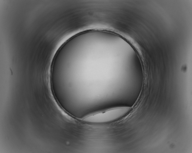 X0000102241343200807250829