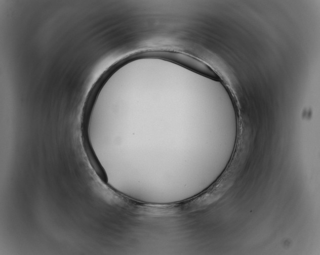 X0000102241344200807250829