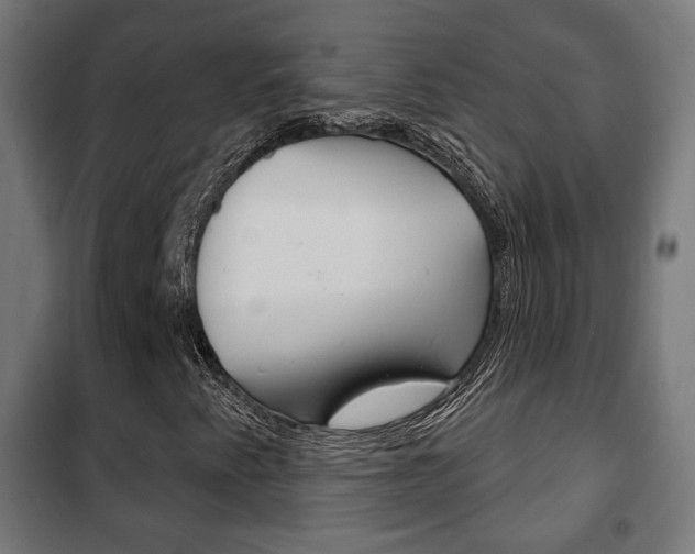 X0000102241345200807250828