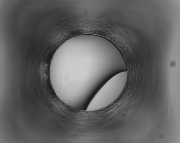 X0000102241346200807250828