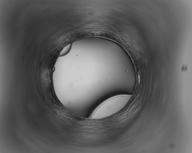 X0000102241347200807250828