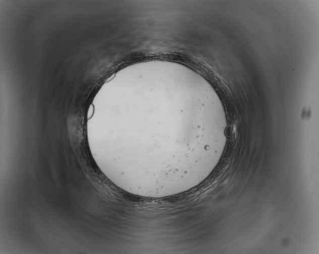 X0000102241348200807250828
