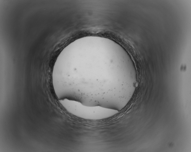 X0000102241349200807250828